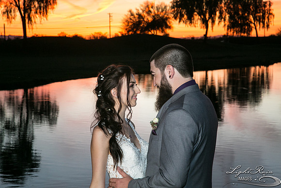 220-BoyceThompsonArboretum-TheViewsWedding