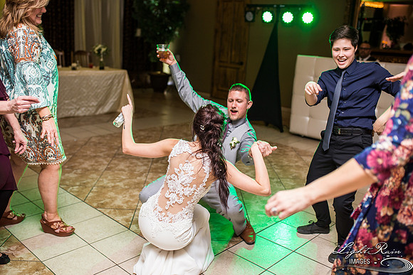 163-BoyceThompsonArboretum-TheViewsWedding