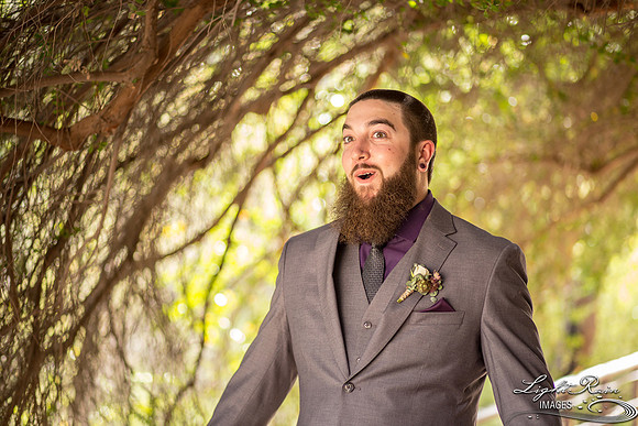 052-BoyceThompsonArboretum-TheViewsWedding
