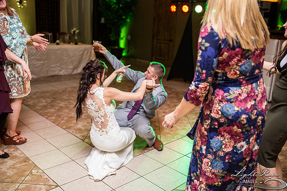 164-BoyceThompsonArboretum-TheViewsWedding