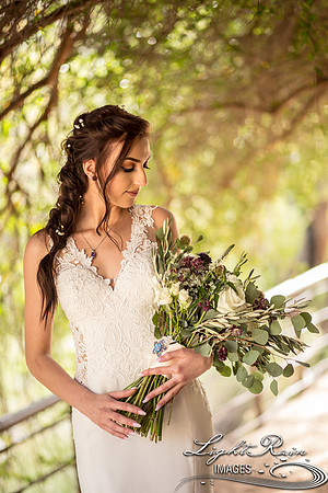 050-BoyceThompsonArboretum-TheViewsWedding