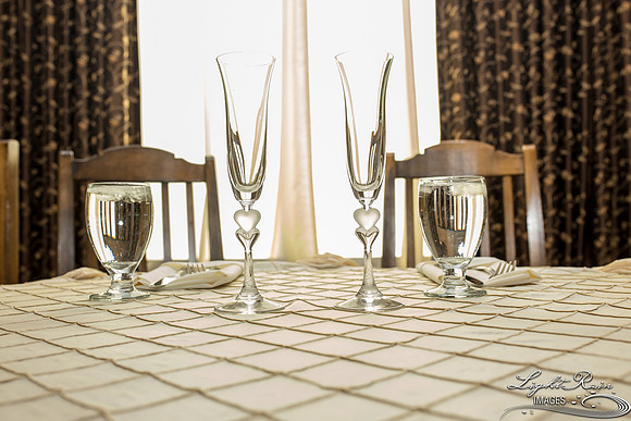 103-BoyceThompsonArboretum-TheViewsWedding