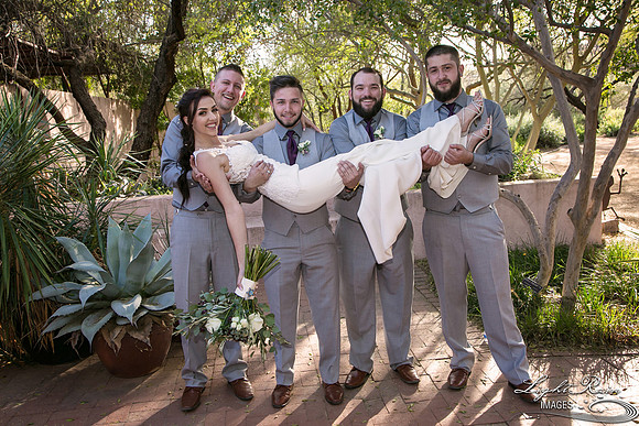 217-BoyceThompsonArboretum-TheViewsWedding