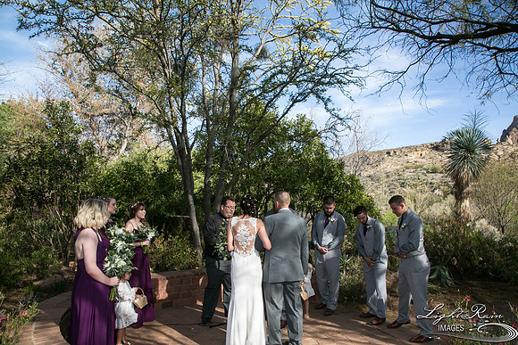 203-BoyceThompsonArboretum-TheViewsWedding