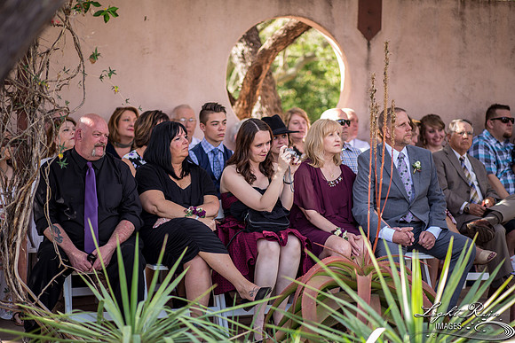 229-BoyceThompsonArboretum-TheViewsWedding