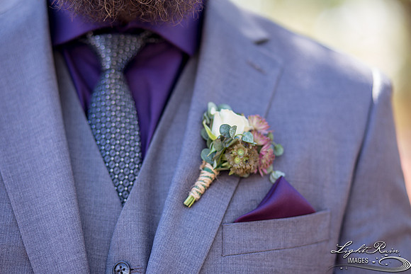 195-BoyceThompsonArboretum-TheViewsWedding