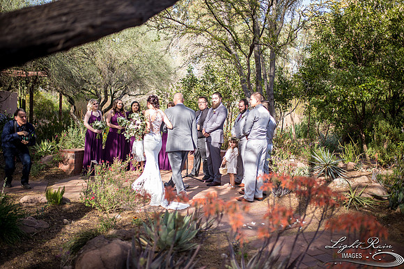 223-BoyceThompsonArboretum-TheViewsWedding