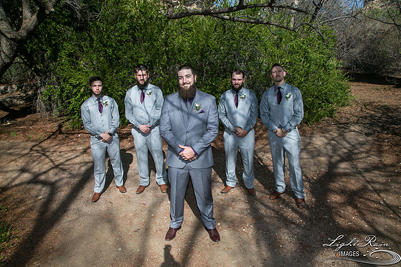 055-BoyceThompsonArboretum-TheViewsWedding