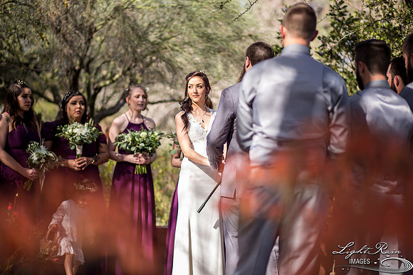 072-BoyceThompsonArboretum-TheViewsWedding