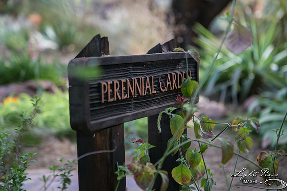 086-BoyceThompsonArboretum-TheViewsWedding