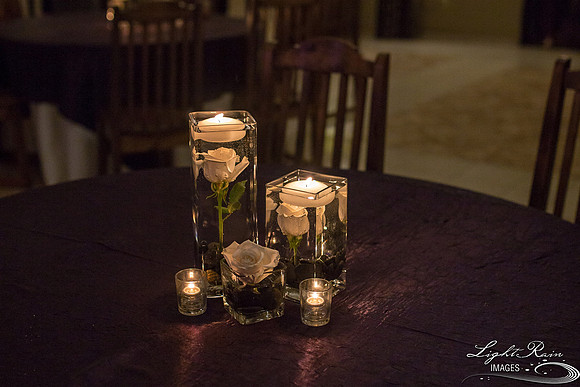 165-BoyceThompsonArboretum-TheViewsWedding