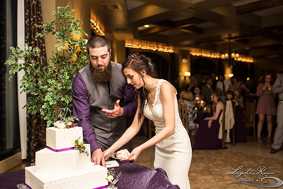 140-BoyceThompsonArboretum-TheViewsWedding