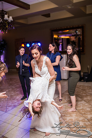 161-BoyceThompsonArboretum-TheViewsWedding