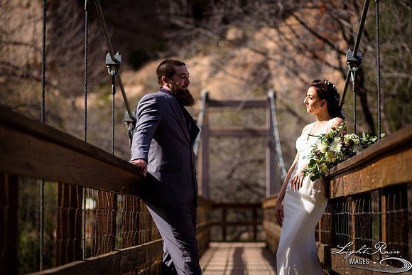 201-BoyceThompsonArboretum-TheViewsWedding