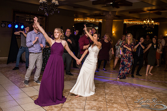 170-BoyceThompsonArboretum-TheViewsWedding