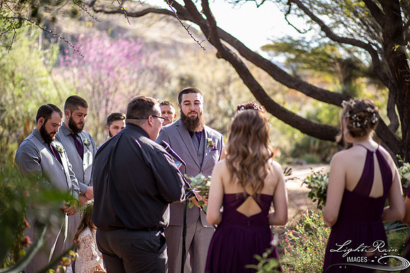 073-BoyceThompsonArboretum-TheViewsWedding