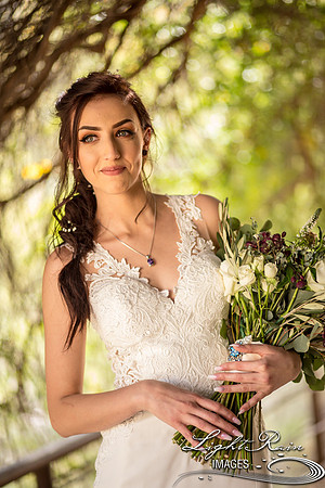 048-BoyceThompsonArboretum-TheViewsWedding