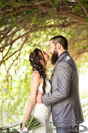 042-BoyceThompsonArboretum-TheViewsWedding
