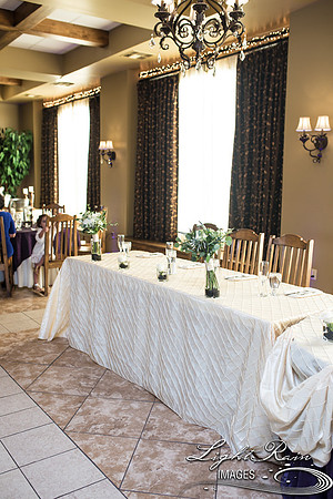 242-BoyceThompsonArboretum-TheViewsWedding