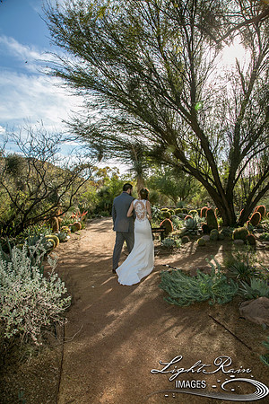 213-BoyceThompsonArboretum-TheViewsWedding