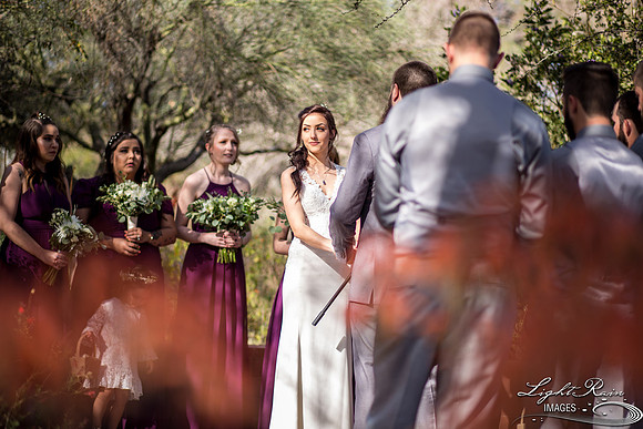 228-BoyceThompsonArboretum-TheViewsWedding