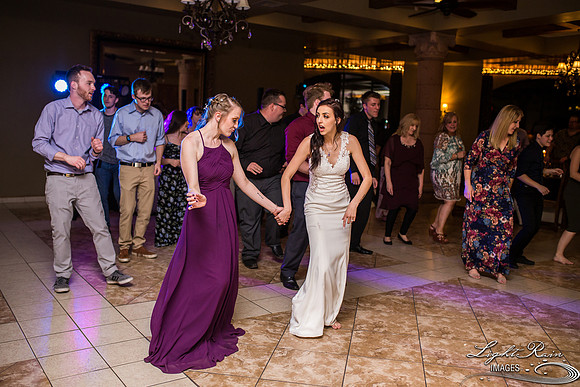 171-BoyceThompsonArboretum-TheViewsWedding