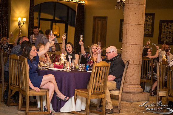 121-BoyceThompsonArboretum-TheViewsWedding