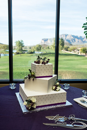104-BoyceThompsonArboretum-TheViewsWedding
