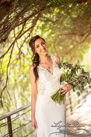 214-BoyceThompsonArboretum-TheViewsWedding
