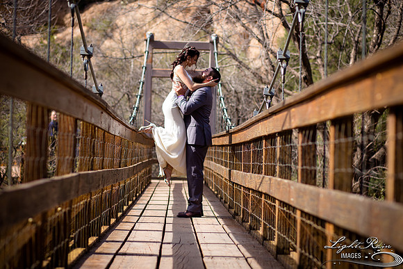 198-BoyceThompsonArboretum-TheViewsWedding