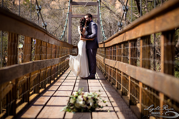 199-BoyceThompsonArboretum-TheViewsWedding