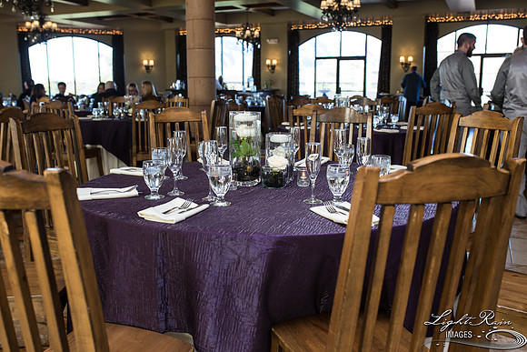 239-BoyceThompsonArboretum-TheViewsWedding