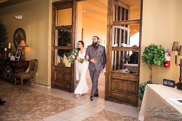 243-BoyceThompsonArboretum-TheViewsWedding