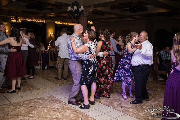142-BoyceThompsonArboretum-TheViewsWedding