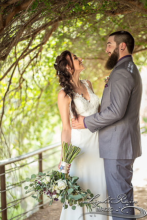 211-BoyceThompsonArboretum-TheViewsWedding