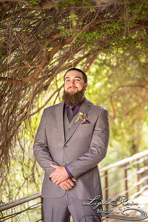 053-BoyceThompsonArboretum-TheViewsWedding