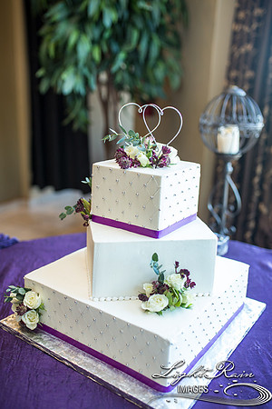 240-BoyceThompsonArboretum-TheViewsWedding
