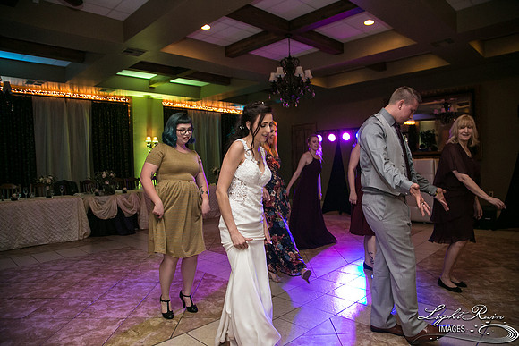 148-BoyceThompsonArboretum-TheViewsWedding