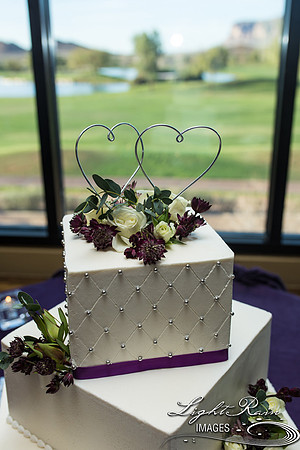 105-BoyceThompsonArboretum-TheViewsWedding
