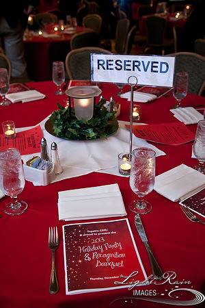 751_HolidayVenueDetails2013byLightRainImages