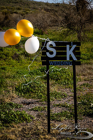 LRI-OV073_PatelSK-02232019