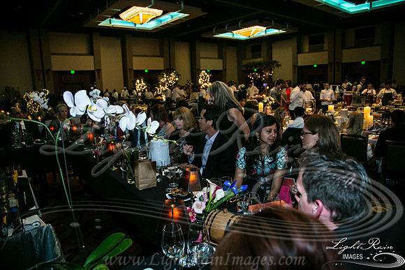 503-FlavorsPHX-LightRainImages05272016