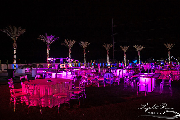 LRI-224_ChateauLDiwali10282017