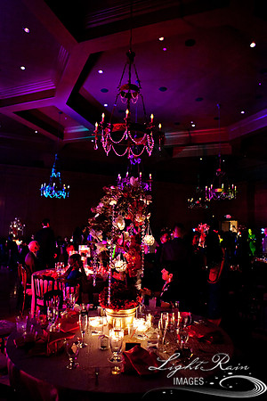 LightRainImages_vd0221