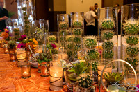 008-FlavorsPHX-LightRainImages05272016