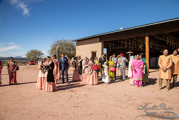 LRI-OV411_PatelSK-02232019