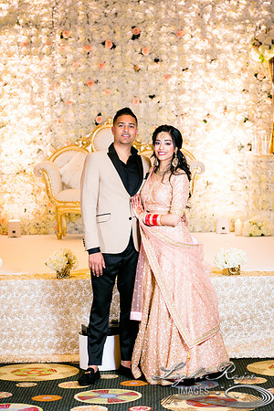 LRI-OV480_PatelSK-02232019
