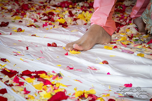 LRI-OV322_PatelSK-02232019