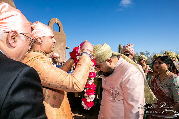 LRI-OV106_PatelSK-02232019