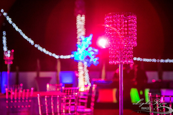 LRI-522_ChateauLDiwali10282017